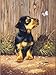 Royal & Langnickel Painting by Numbers Junior Small Art Activity Kit, Dachshund Puppy (PJS51)