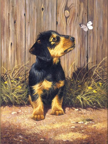 UPC 090672056948, Royal &amp; Langnickel Painting by Numbers Junior Small Art Activity Kit, Dachshund Puppy