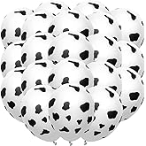 Fun Express - Cow Print Latex Balloon (24pc) for Birthday - Party Decor - Balloons - Latex Balloons - Birthday - 24 Pieces