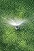 Rain Bird 1803VAN Professional Pop-Up Sprinkler, Adjustable 0° - 360° Pattern, 8' - 15' Spray Distance, 3