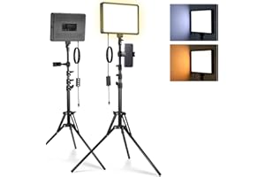NEEWER Basics 2Pcs LED Video Light Panel with 59'' Tripod Stands/Phone Holders, 2700-6500K 850Lux Dimmable Plastic Studio Lighting for Photography Filming Recording Live Streaming, No Adapter, BP300