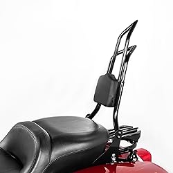 Mofun 28" Height Detachable Sissy Bar Passenger