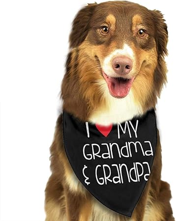 bandana on dog's neck