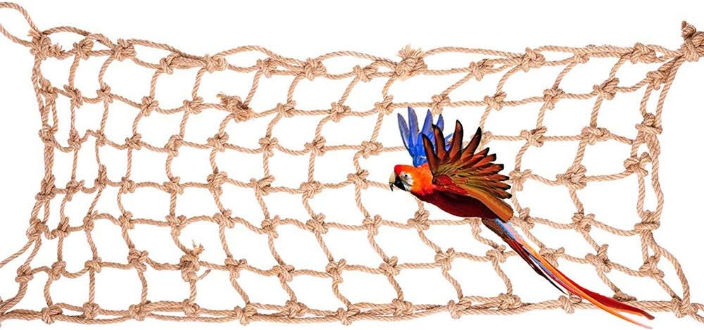 parrot climbing rope