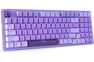 HUO JI Mechanical Gaming Keyboard USB Wired Compact with Number Pad, Purple Led Backlit, Red Switch, Detachable Type C Cable, 94 Keys for PC/Computer/Laptop, Purple and White