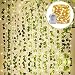 KASZOO 84Ft 12 Pack Artificial Ivy Garland Fake Plants, Vine Hanging Garland with 80 LED String Light, Hanging for Home Kitchen Garden Office Wedding Wall Decor, Green primary