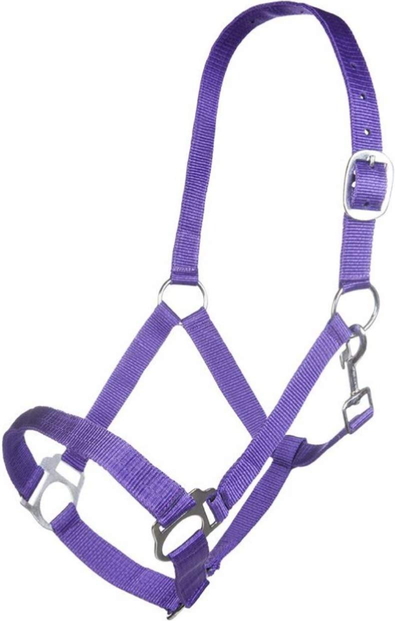 HKM SPORTS EQUIPMENT Innsbruck Headcollar Purple Warmblood
