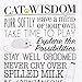 DII Everyday Pets Kitchen Collection Absorbent Dishtowel Set, 18x28, Cat Print, 3 Count