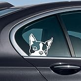WIRESTER 6 inch Clear Vinyl Decal Sticker Decoration for Car Window (Or Any Flat Surface) - Boston Terrier Dog