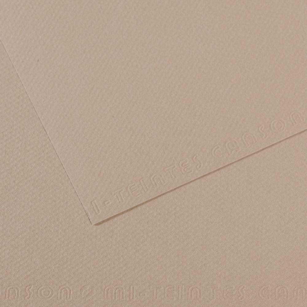 Canson Pack of 10 Sheets 7 x 42 Colours 60% Bee 160 g (122), Flannel Grey, 29.7 x 47 cm