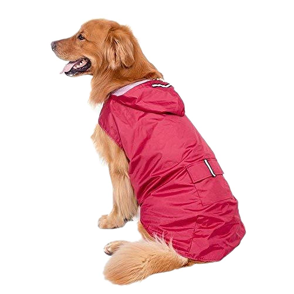 Scheda Flash PRO Duo Memory Stick 32GB | Per Fotocamera Cybershot E PSP | Archivazione Affidabile