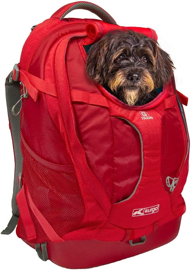 Kurgo Dog Carrier Backpack for Small Pets - Dogs & Cats | TSA Airline Approved | Cat | Hiking or Travel | Waterproof Bottom | G-Train | K9 Ruck Sack | Red | Grey