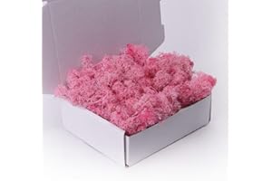 ACADOIT Preserved Moss-3.5 OZ Moss for Crafts Faux Moss Decor Natural Green Moss for Art Wall Florist Decor, Fairy Gardens, Wedding, Floral Project(Light Pink 3.5 OZ)