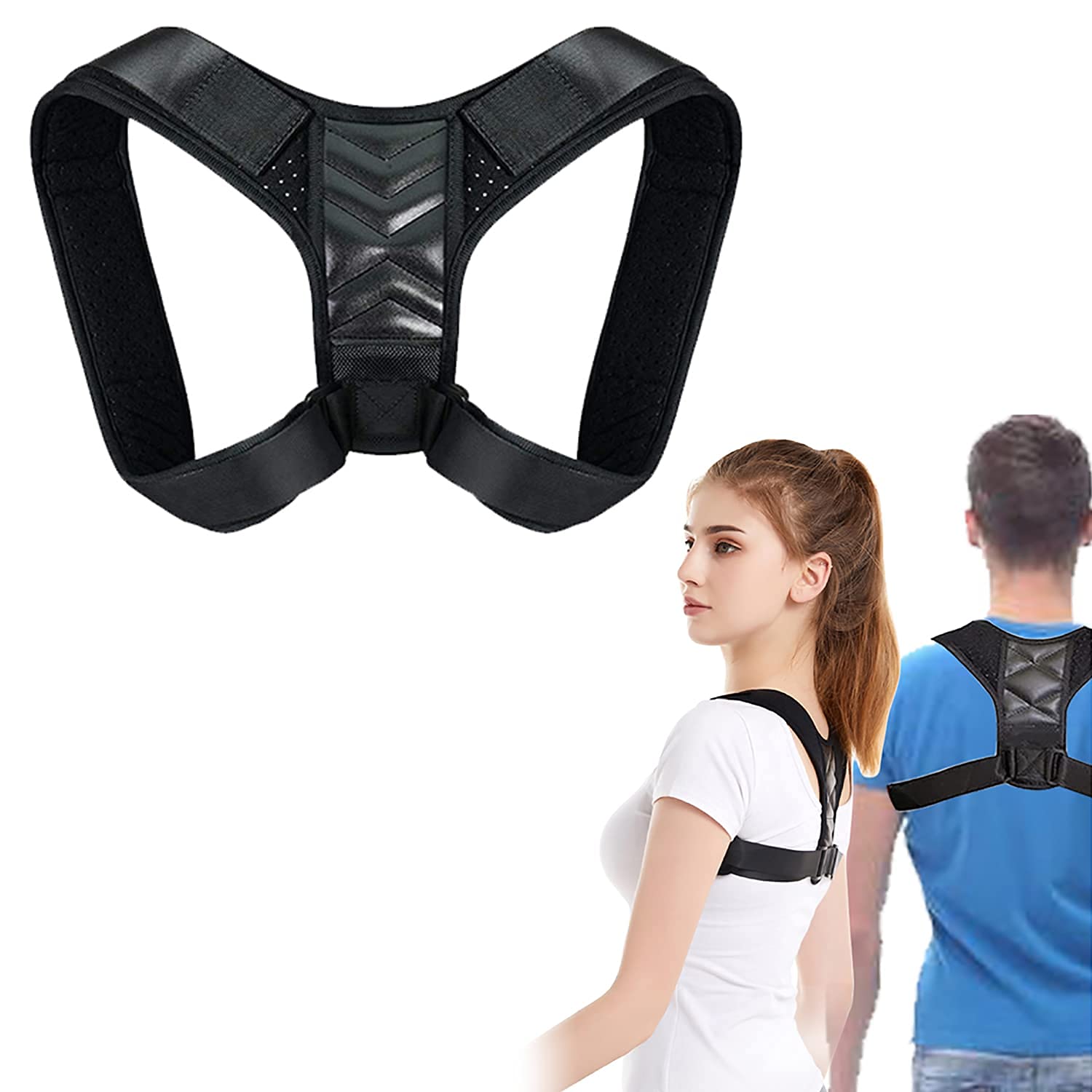 Armitage Complete Winter Wild Bird Food Bundle - with Bird Feeder - wild Bird Seed - Includes Fat Balls - Fat and Protein for Wild Birds