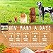 Earth Pets Nutrition, All Natural and Organic Hip and Joint Supplement and Dog Vitamin, Glucosamine, Chondroitin, MSM, Yucca and Organic Turmeric for Dogs, 130 Soft Chew Treats