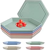 HUOMAQFAN 4 Pieces Deep Unbreakable Plastic Plates, Reusable Hexagonal Small Dinner Plates Set, Assorted Colors Dinnerware Sets for Kitchen, Microwave and Dishwasher Safe