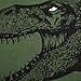 Schmoopy Boys Pajamas Long Sleeve Set with Dinosaur for Toddler Kid Size 7 Green