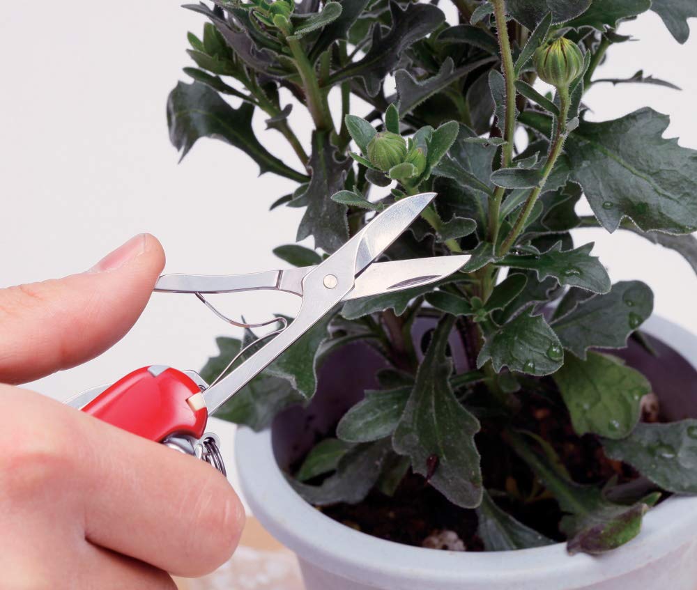 Victorinox Schweizer Taschenmesser Wenger, Multitool, Swiss Army Knife mit 7 Funktionen, Klinge, Nagelfeile, Schere 6