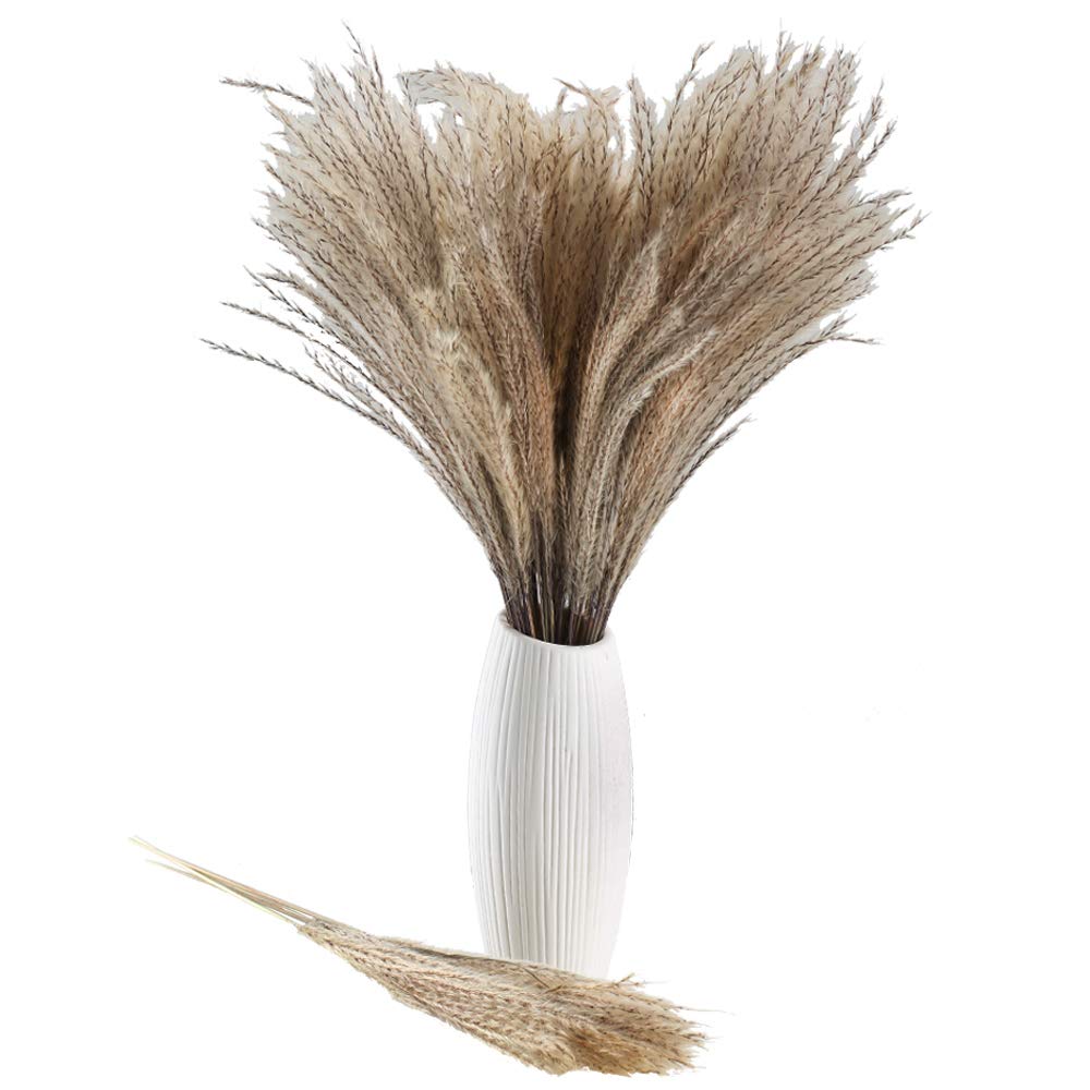 HUAESIN 50 PCS Dried Pampas Grass Reed Grass Plume Natural Artificial Pampas Grass Dried Flower Phragmites Communis for Wedding Photographing Arrangement Home Decor 45cm