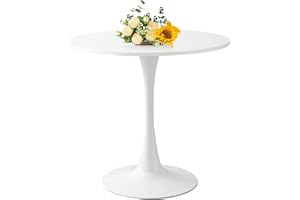 UFURPIE 24 Inch Round Dining Table,Mid-Century Tulip Table with Metal Pedestal Base,Modern Leisure Table for Small Space Kitchen Dining Room,Easy Assembly,White