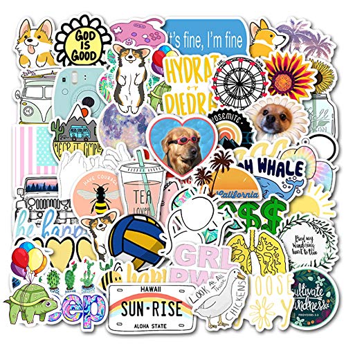 VSCO Stickers for Hydro Flask,Water Bottles,Laptop,Phone,Suitcase,Fridges.(50 pcs) ...
