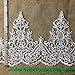 Bridal Veil Lace Trim Gorgeous Elegant Alencon Embroidered Corded Sequined Mesh, 8