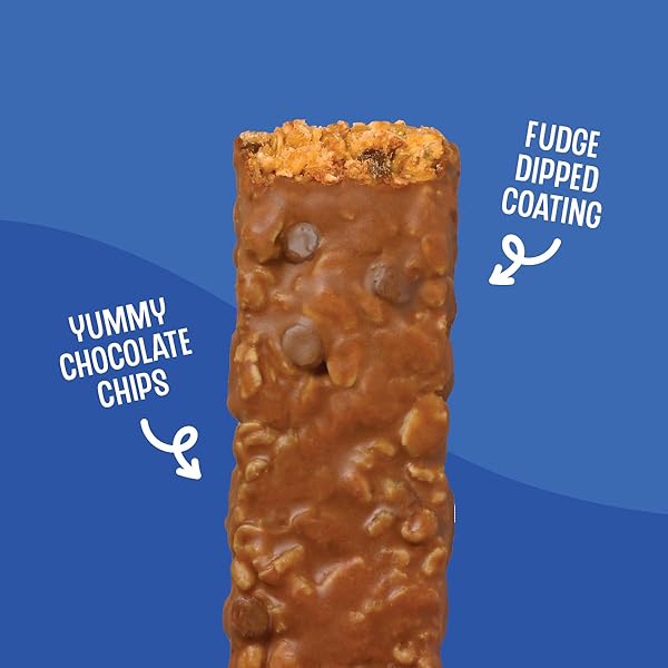 SUNBELT BAKERY FUDGE DIPPED CHOCOLATE CHIP CHEWY GRANOLA BARS, VALUE PACK, 15 COUNT (PACK OF 1)
