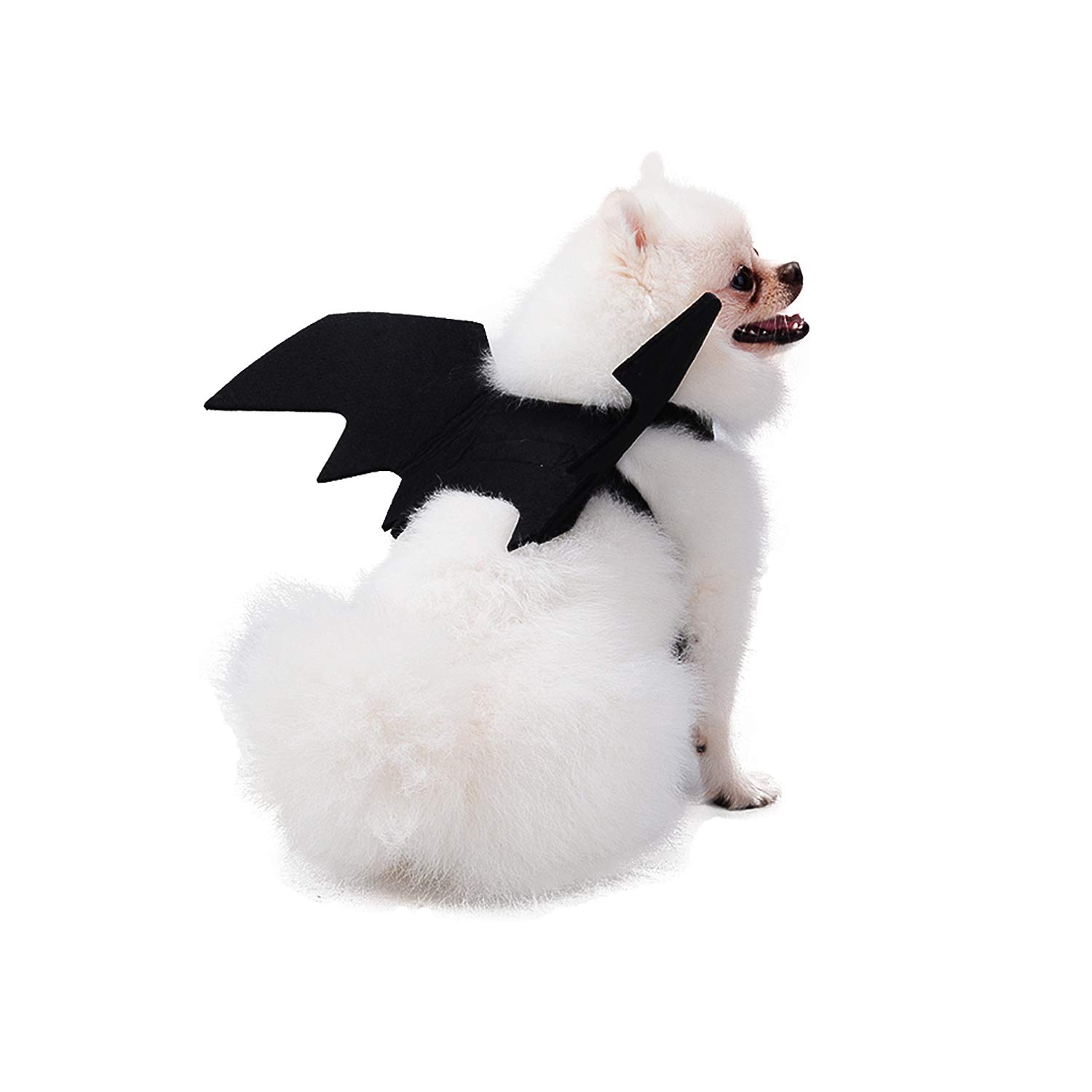 B bangcool Bat Wings for Dogs, Pet Halloween Bat Costume Adjustable Black Dragon Wings with 2 Pumpkin Bells