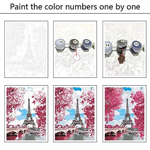 YANXIN DIY Paint by Numbers Adults,16x20 Inch Canvas Painting by