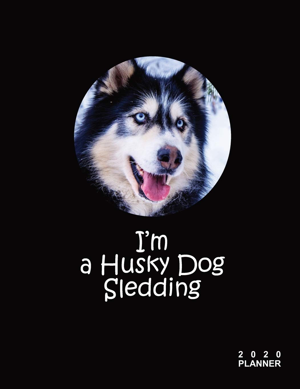 craigslist nova pets