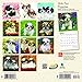 Shih Tzu Puppies 2019 7 x 7 Inch Monthly Mini Wall Calendar, Animal Small Dog Breed Puppies (English, French and Spanish Edition)