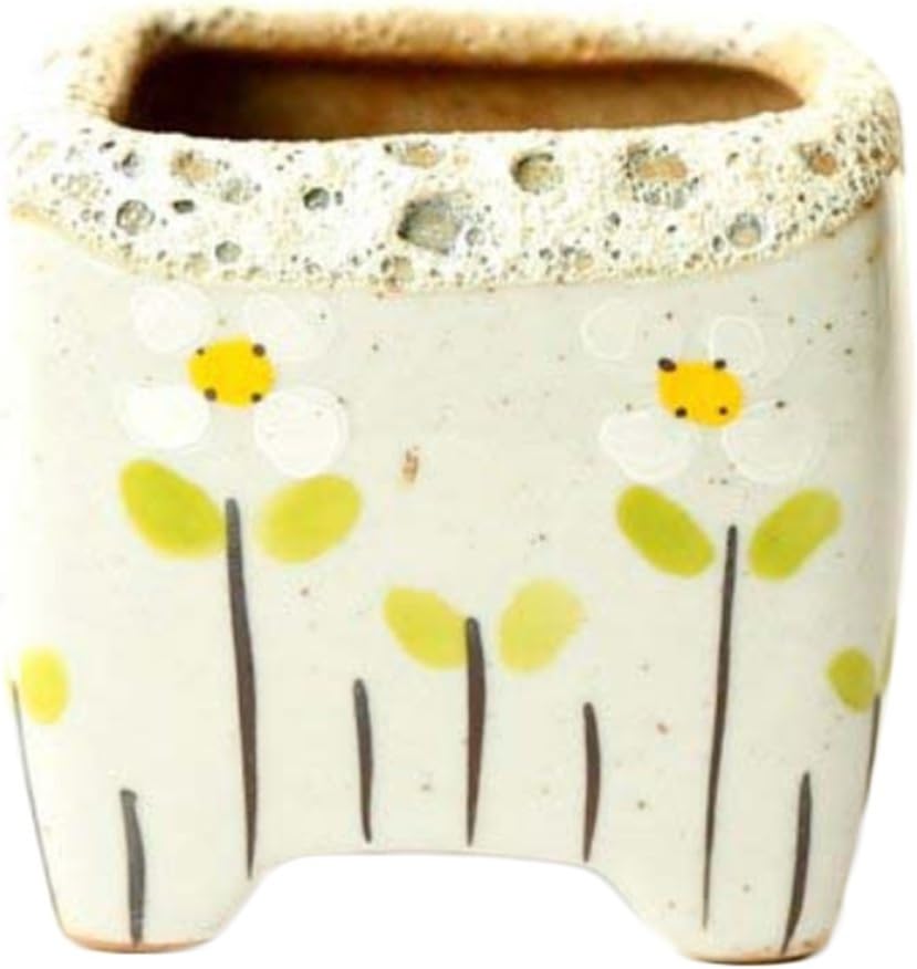 Chytaii Ceramic Pot Succulent Plants Pot Cactus Plant Container Small Cute Ceramic Succulent Pot for Home Office Desk Decoration 4.5x6.5x7cm (D)