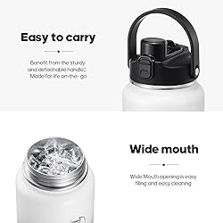 Insulated Water Bottle with 2-in-1 Lid