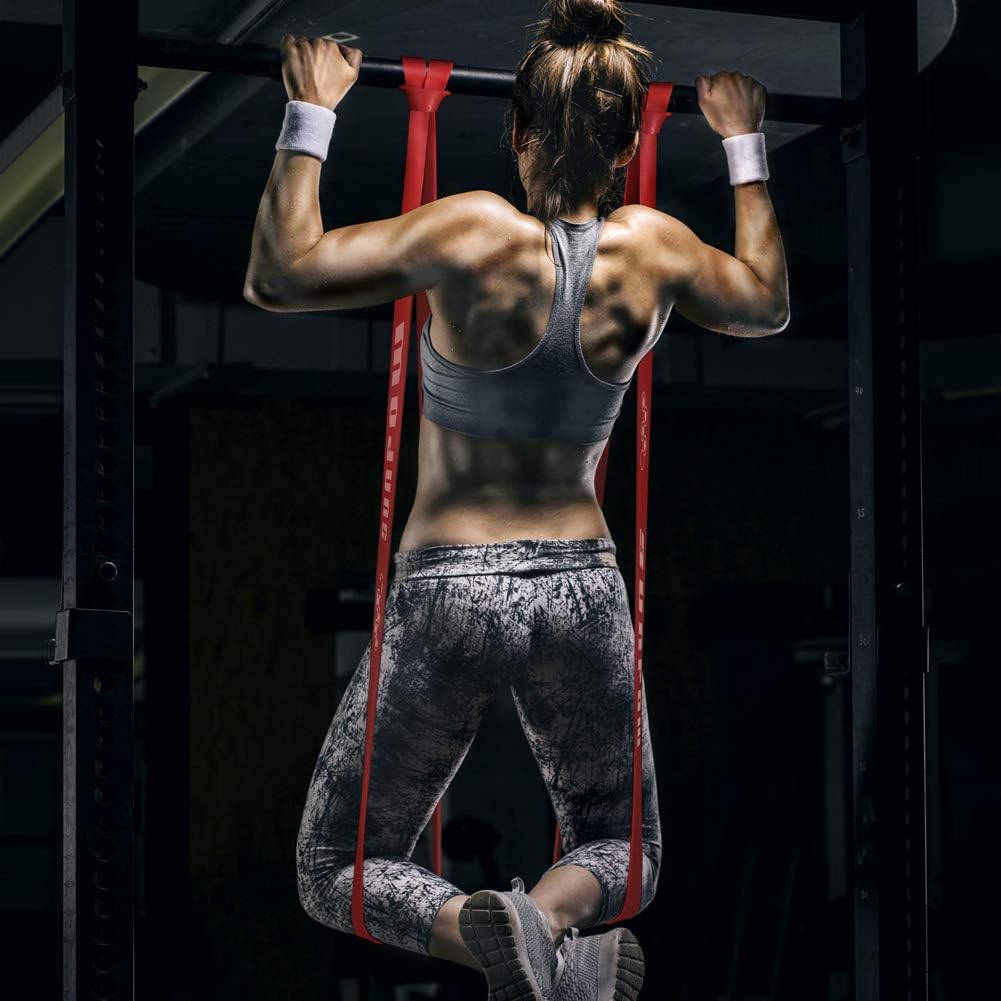 SUNPOW Pull Up Assistance Bands - Set of 5 Resistance Heavy Duty Workout Exercise Crossfit Stretch Fitness Bands Assist Set for Body, Instruction Guide and Carry Bag Included : Sports & Outdoors