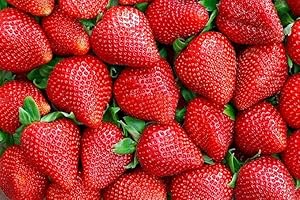 300+ Red Strawberry Seeds for Planting, Non-GMO Heirloom, Sweet and Delicious All Seasons Climbing Strawberry Seeds, High Ger
