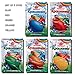 BestPysanky Set of 5 Traditional Colors Batik Egg Dyes