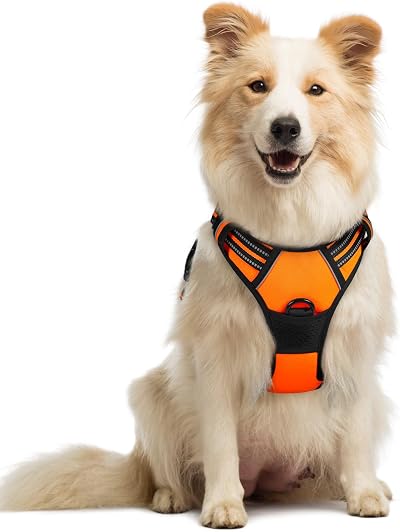rabbitgoo Dog Harness Medium No Pull with 2 Leash Clips Reflective Orange M