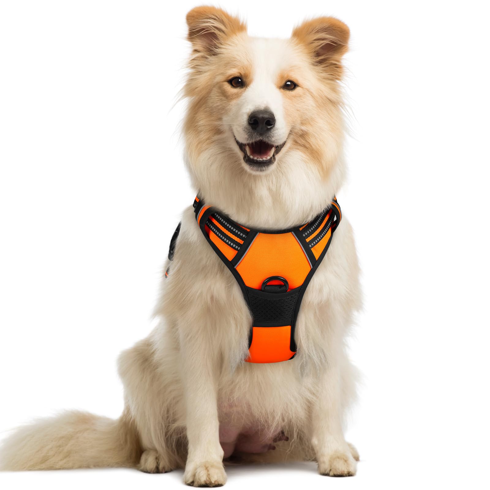 rabbitgoo Dog Harness Medium No Pull Pet Harness with 2 Leash Clips, Adjustable Soft Padded Pet Vest Harness, Reflective No-Choke with Easy Control Handle for Training or Walking, Orange, M