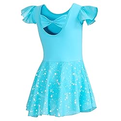 DIPUG Ballet Leotards for Girls Toddler Dance