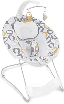 fisher price see and soothe bouncer
