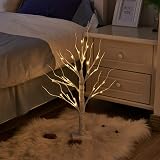 Eambrite Set of 2 Small Birch Twig Tree Lights 60cm Battery Operated view 5