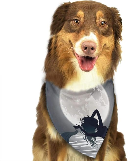 accesorios para perros amazon