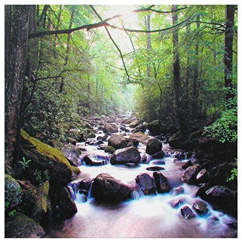 Oriental furniture river of life canvas wall art
