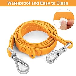 Wisedog Waterproof Standard Dog Leashes with 2
