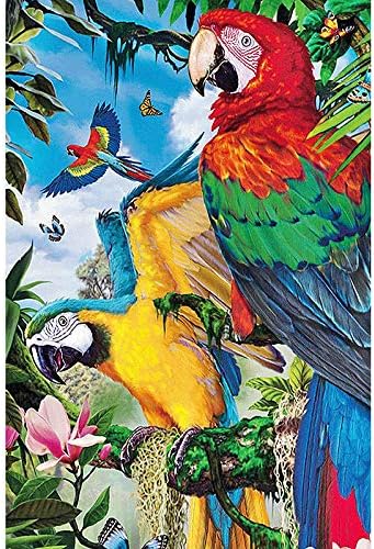 Paint By Numbers for Adults with Framed Canvas - Diy Full Set of Assorted Color Oil Painting Kit and Brush Accessories - Flower Forest Parrot
