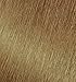 Garnier Nutrisse Nourishing Hair Color Creme, 82 Champagne Blonde (Champagne Fizz) (Packaging May Vary)