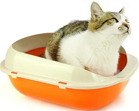 Litiere Wicemoon Semi Fermee Pour Chat Amazon Fr Animalerie