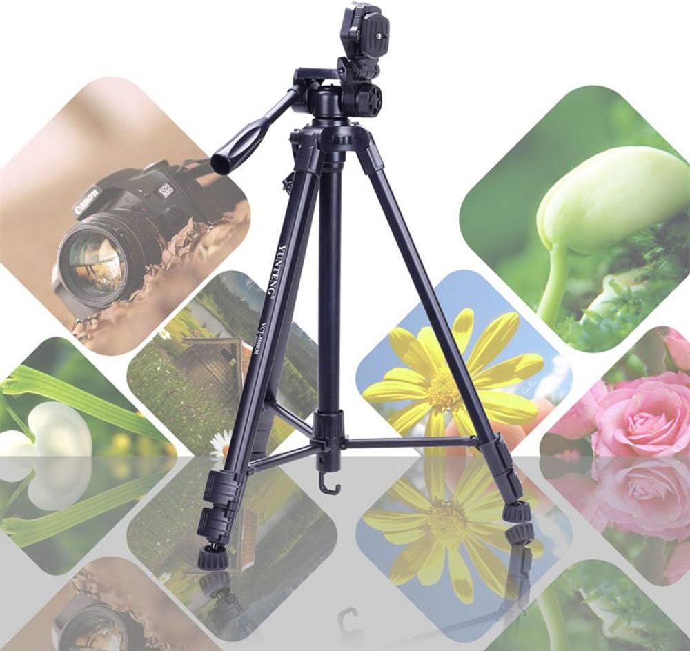 fishing lights with stand