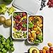 Snitsla Go - Bento Lunch Box Set in Insulated Lunch Bag for Adults - With Sauce Container and Divider to keep Food and Snack separated - Size for Portion Control - Grey