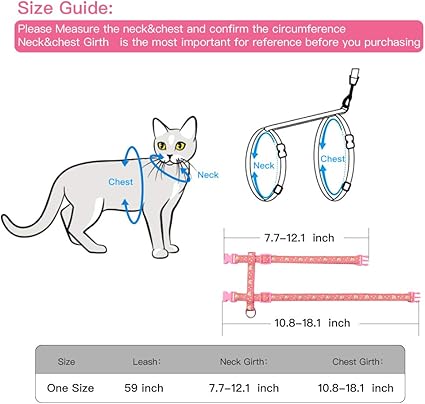 measuring a cat for a harness